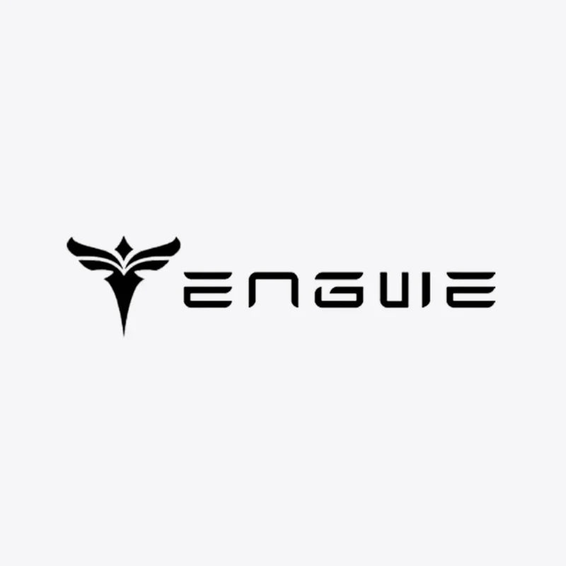 Engwe Battery Pack