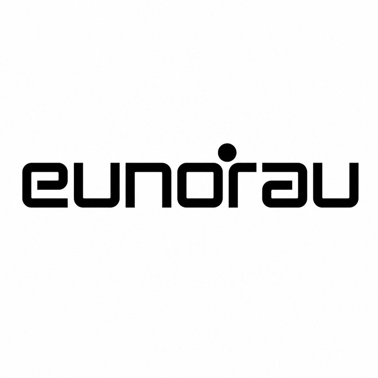 Eunorau Batteries Replacement
